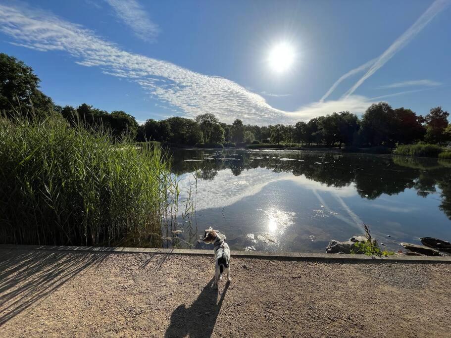 Ferienwohnung Am Glockensee Bad Laer Bagian luar foto